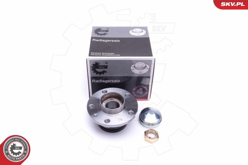 ESEN SKV 29SKV301 Wheel Bearing Kit