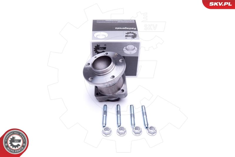 ESEN SKV 29SKV302 Wheel Bearing Kit