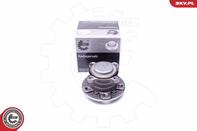 ESEN SKV 29SKV303 Wheel Bearing Kit