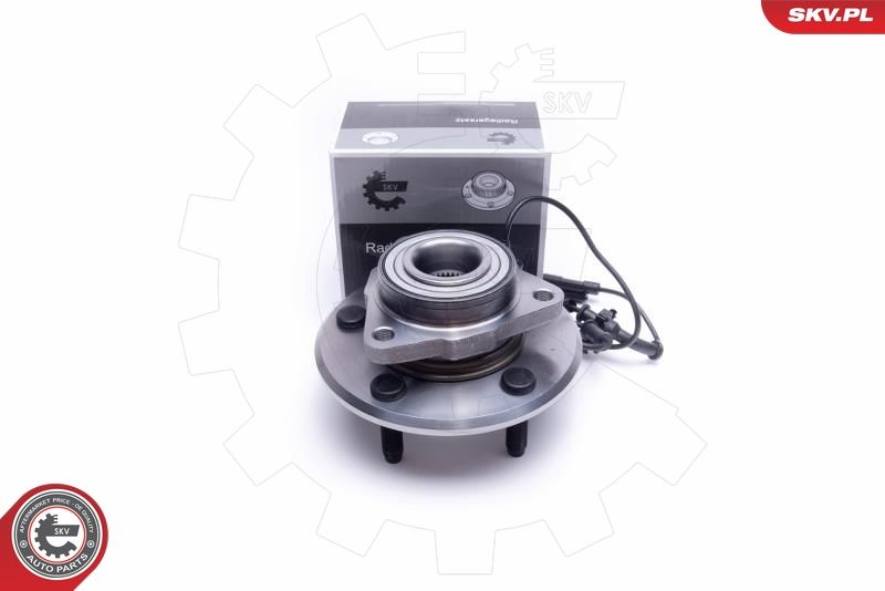 ESEN SKV 29SKV308 Wheel Bearing Kit