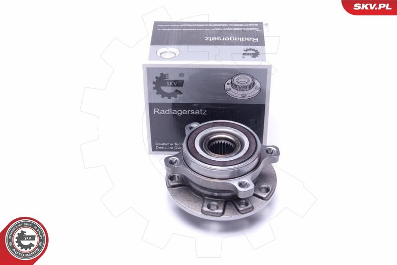ESEN SKV 29SKV309 Wheel Bearing Kit