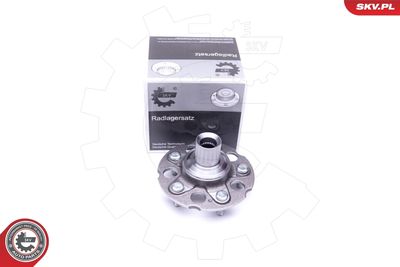 Wheel Bearing Kit ESEN SKV 29SKV311