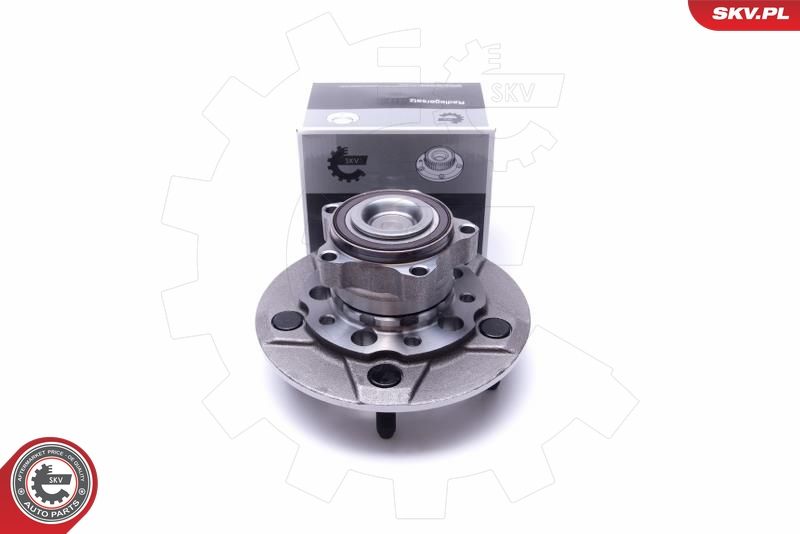 ESEN SKV 29SKV313 Wheel Bearing Kit