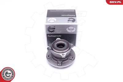 Wheel Bearing Kit ESEN SKV 29SKV315