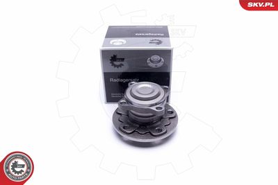 Wheel Bearing Kit ESEN SKV 29SKV317