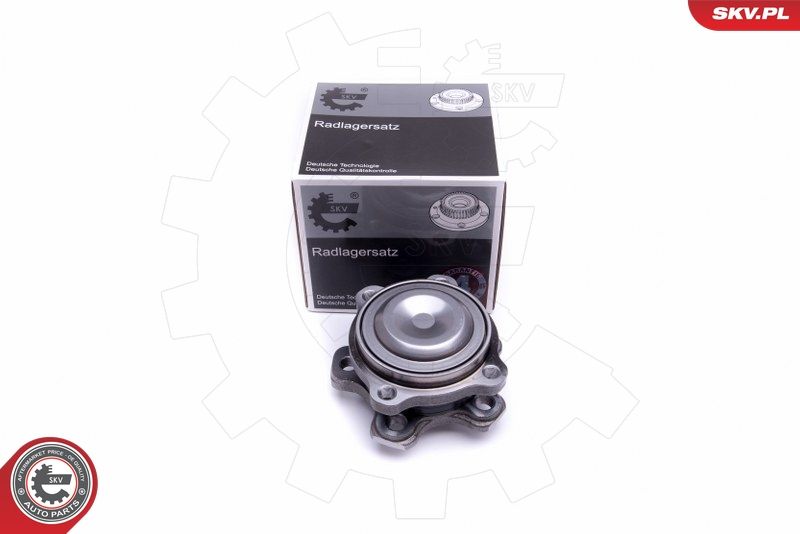 ESEN SKV 29SKV324 Wheel Bearing Kit