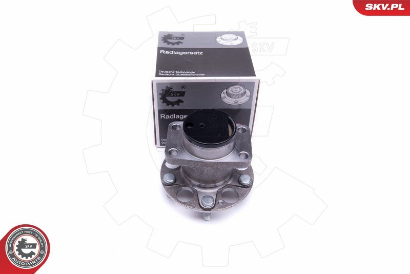 ESEN SKV 29SKV325 Wheel Bearing Kit
