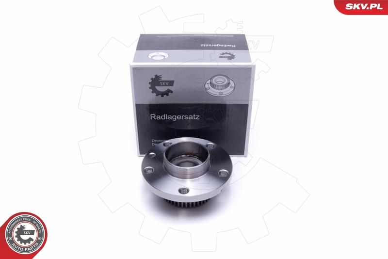 ESEN SKV 29SKV331 Wheel Bearing Kit