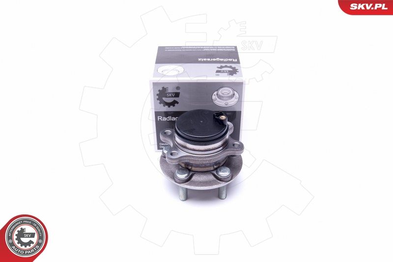 ESEN SKV 29SKV335 Wheel Bearing Kit