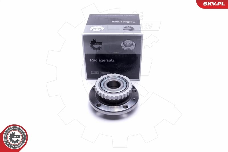 ESEN SKV 29SKV336 Wheel Bearing Kit