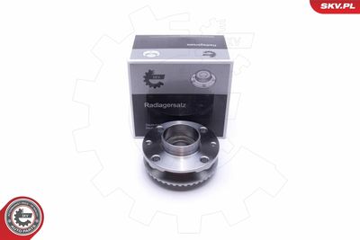 Wheel Bearing Kit ESEN SKV 29SKV347