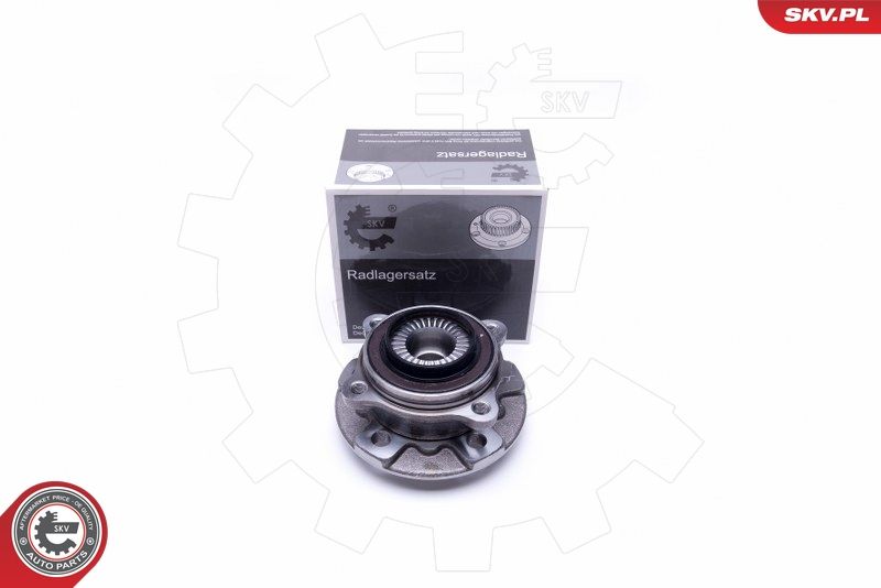 ESEN SKV 29SKV366 Wheel Bearing Kit