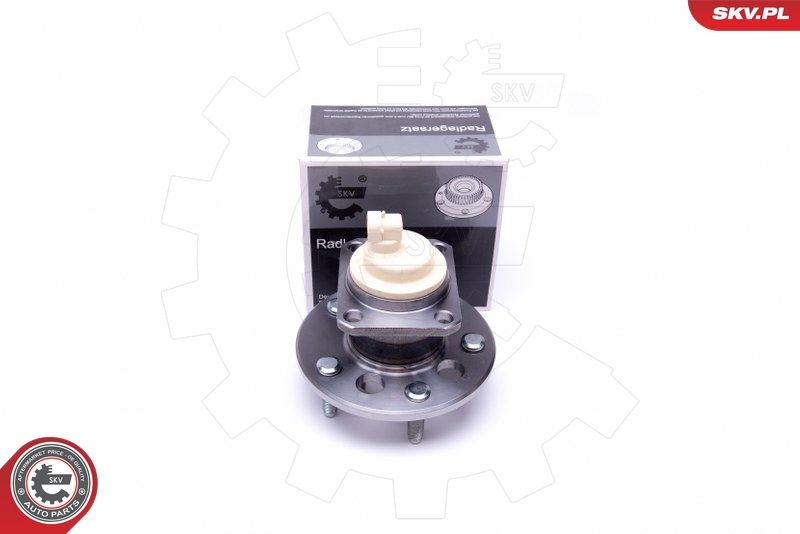 ESEN SKV 29SKV377 Wheel Bearing Kit