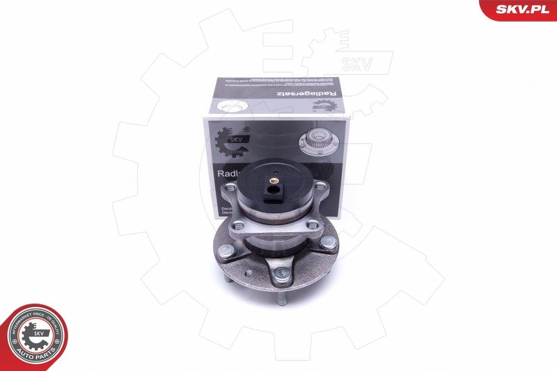 ESEN SKV 29SKV379 Wheel Bearing Kit