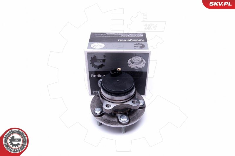 ESEN SKV 29SKV381 Wheel Bearing Kit