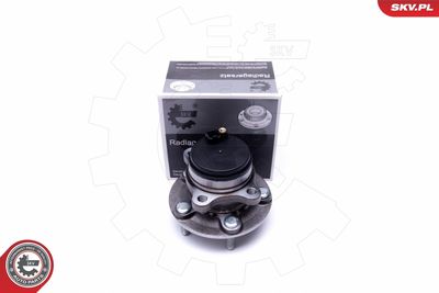 Wheel Bearing Kit ESEN SKV 29SKV381