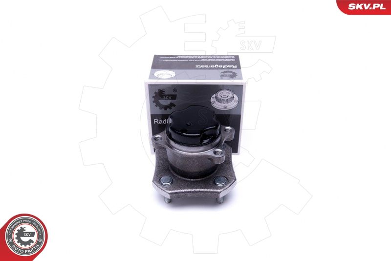 ESEN SKV 29SKV384 Wheel Bearing Kit