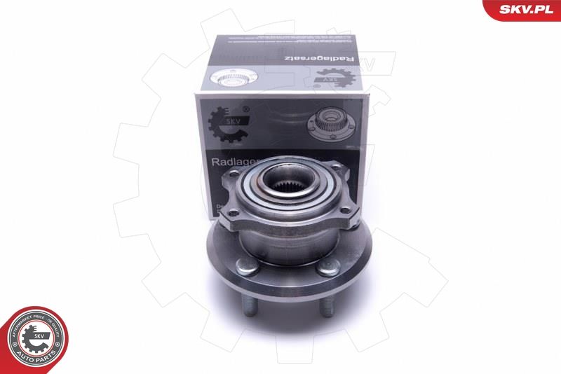 ESEN SKV 29SKV385 Wheel Bearing Kit