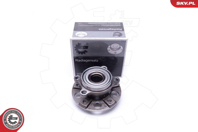 ESEN SKV 29SKV387 Wheel Bearing Kit
