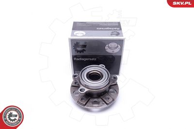 Wheel Bearing Kit ESEN SKV 29SKV387