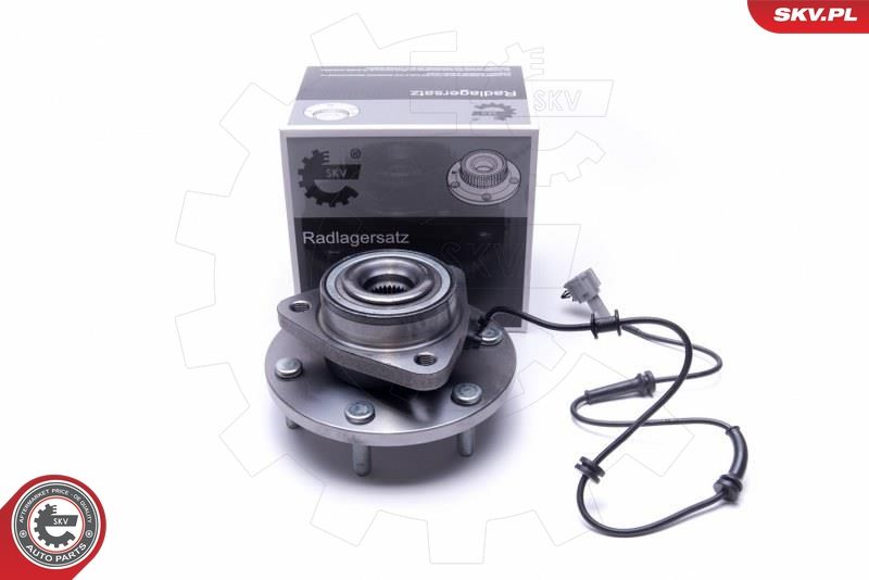 ESEN SKV 29SKV390 Wheel Bearing Kit