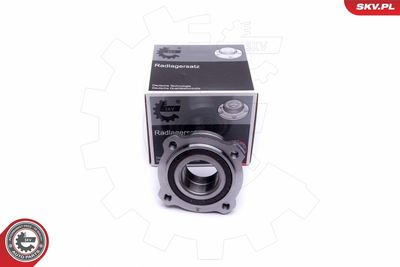 Wheel Bearing Kit ESEN SKV 29SKV391