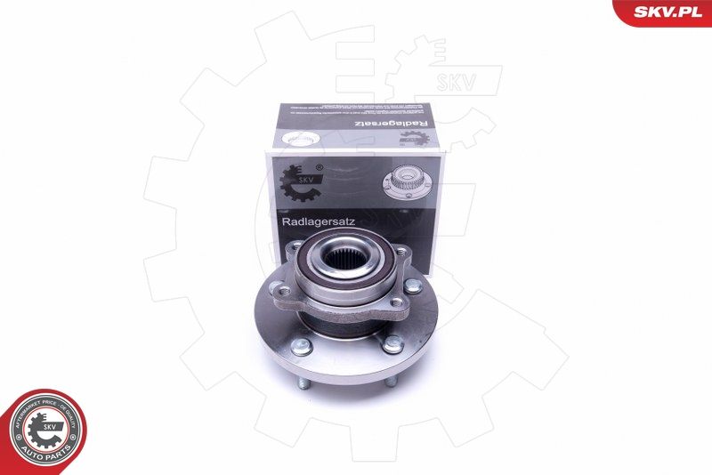 ESEN SKV 29SKV393 Wheel Bearing Kit