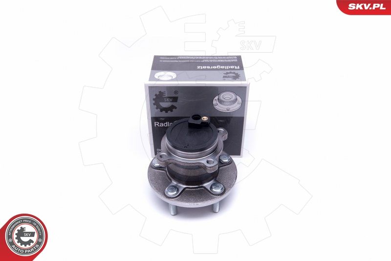 ESEN SKV 29SKV401 Wheel Bearing Kit
