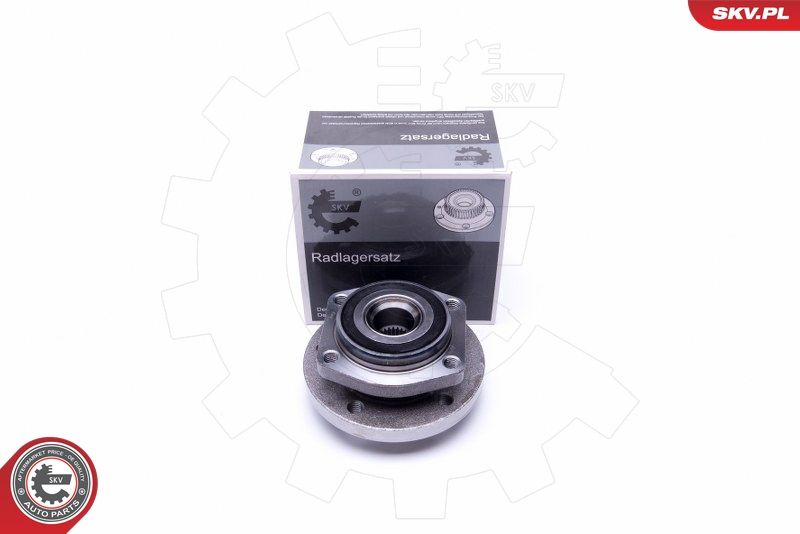 ESEN SKV 29SKV411 Wheel Bearing Kit