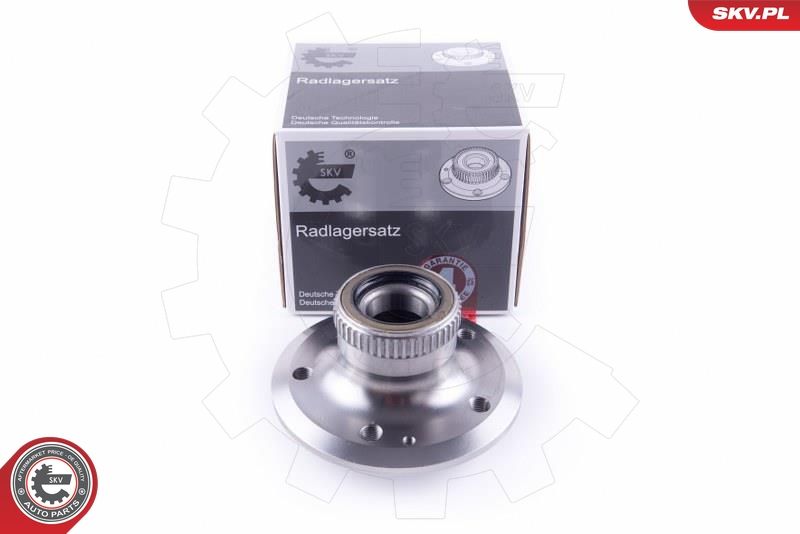 ESEN SKV 29SKV418 Wheel Bearing Kit