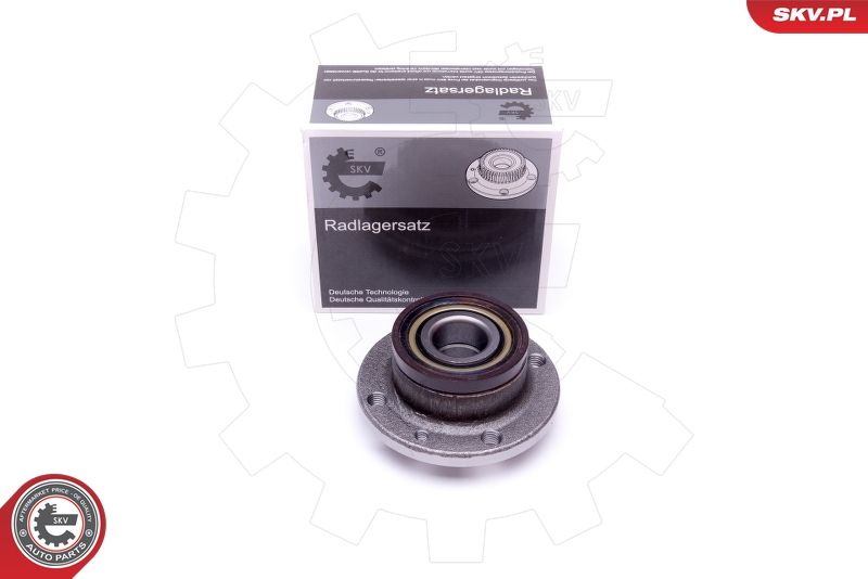 ESEN SKV 29SKV419 Wheel Bearing Kit