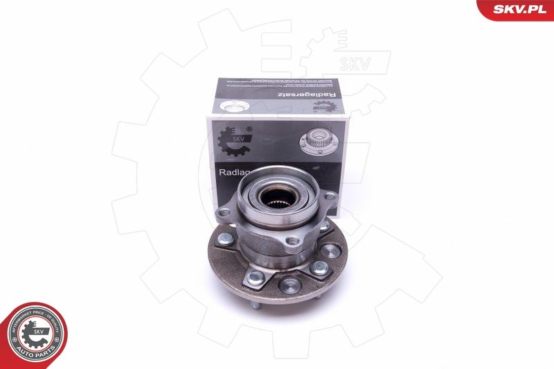 ESEN SKV 29SKV421 Wheel Bearing Kit