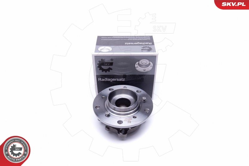 ESEN SKV 29SKV428 Wheel Bearing Kit