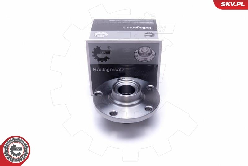 ESEN SKV 29SKV438 Wheel Bearing Kit