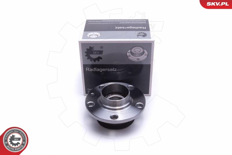 ESEN SKV 29SKV440 Wheel Bearing Kit