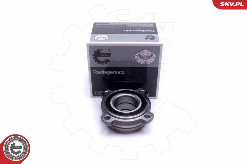 ESEN SKV 29SKV441 Wheel Bearing Kit