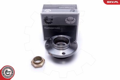 Wheel Bearing Kit ESEN SKV 29SKV448