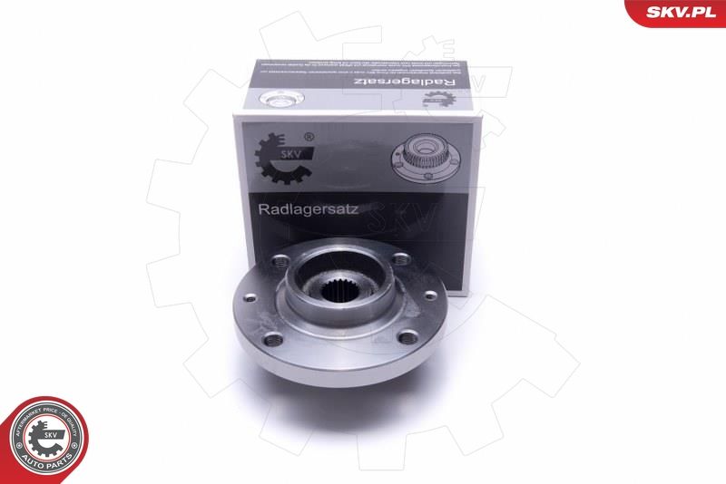 ESEN SKV 29SKV450 Wheel Bearing Kit