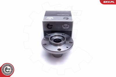 Wheel Bearing Kit ESEN SKV 29SKV451