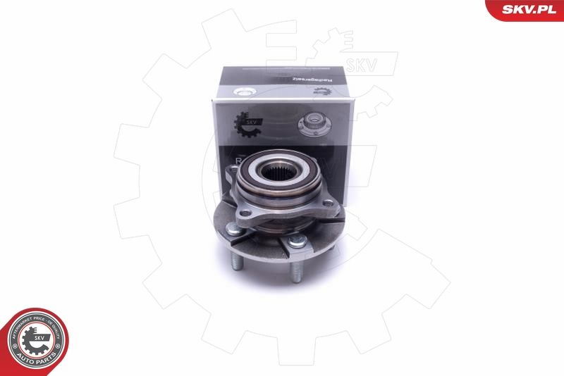 ESEN SKV 29SKV460 Wheel Bearing Kit