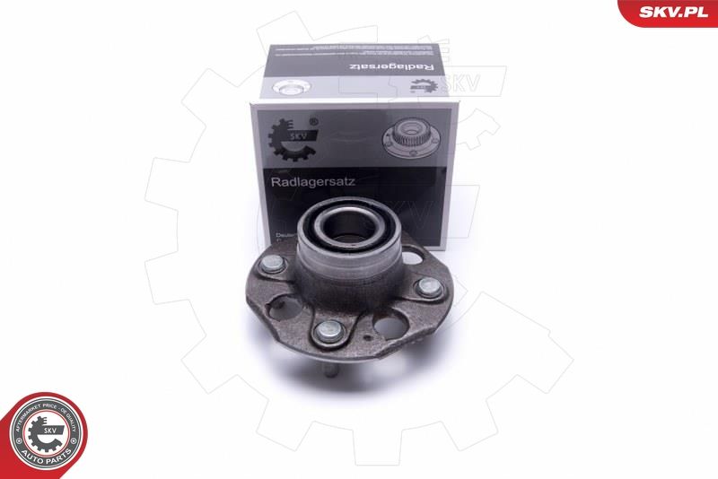 ESEN SKV 29SKV463 Wheel Bearing Kit