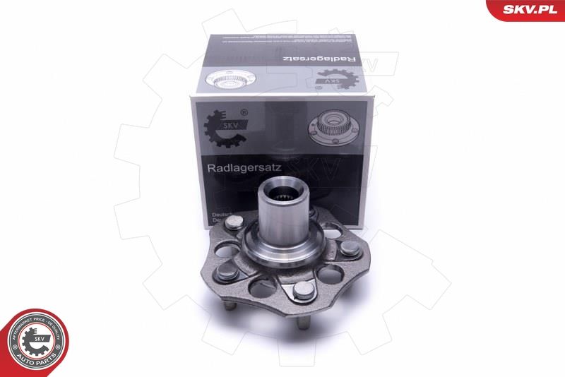 ESEN SKV 29SKV473 Wheel Bearing Kit