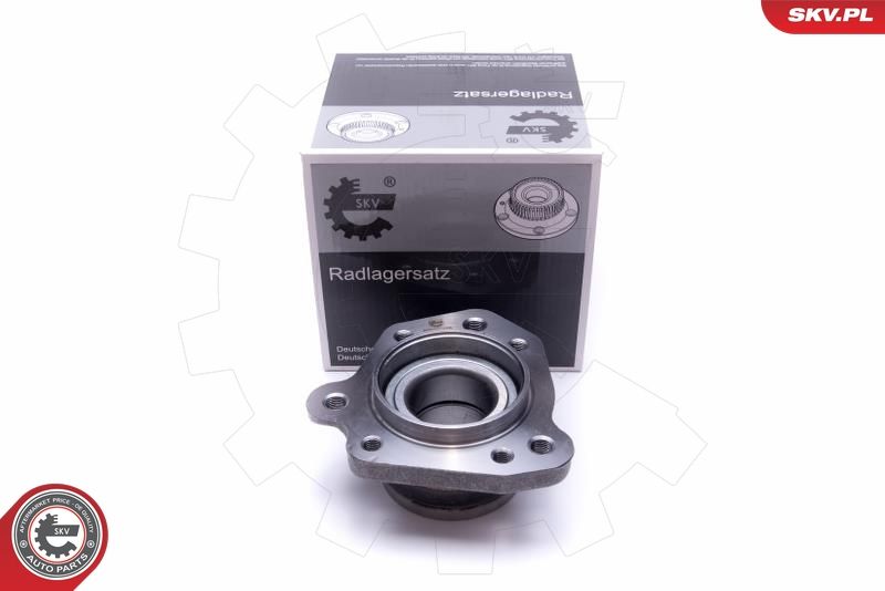 ESEN SKV 29SKV474 Wheel Bearing Kit