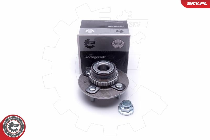 ESEN SKV 29SKV478 Wheel Bearing Kit