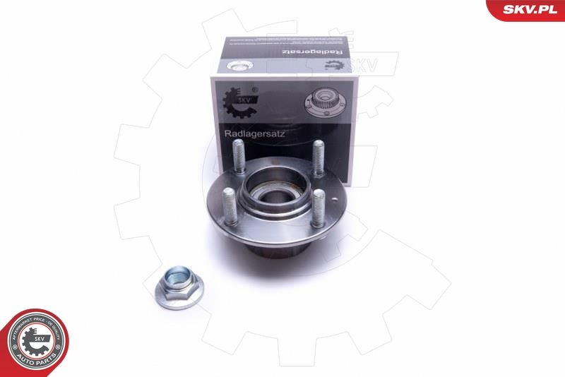 ESEN SKV 29SKV479 Wheel Bearing Kit