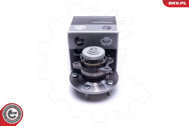 ESEN SKV 29SKV483 Wheel Bearing Kit