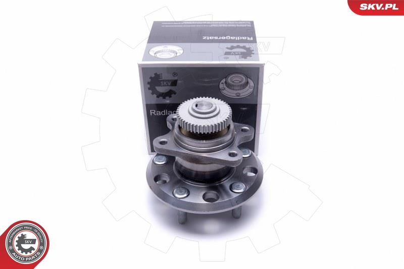 ESEN SKV 29SKV486 Wheel Bearing Kit