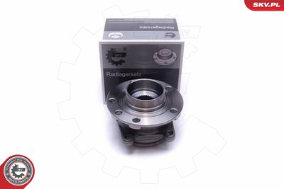 Wheel Bearing Kit ESEN SKV 29SKV491