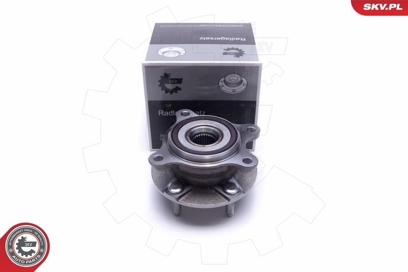ESEN SKV 29SKV494 Wheel Bearing Kit