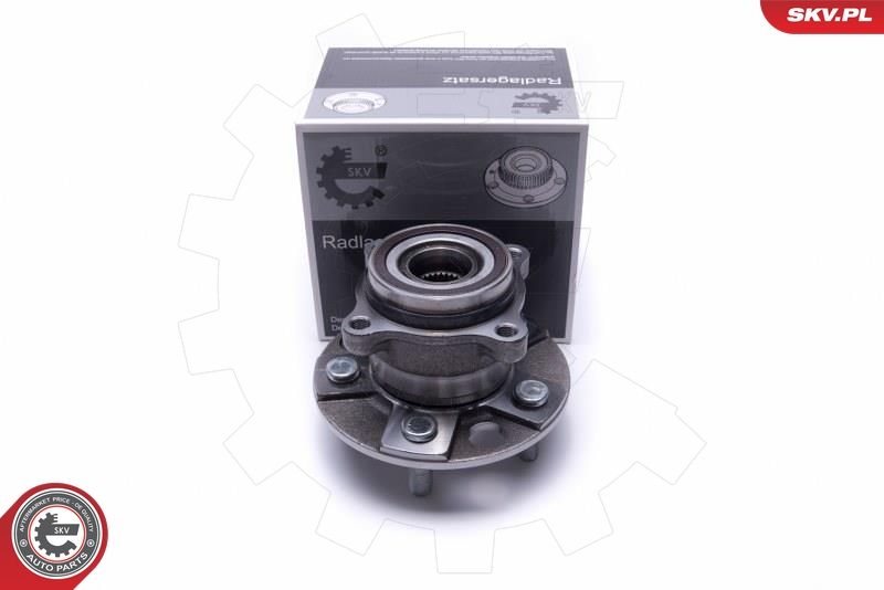 ESEN SKV 29SKV496 Wheel Bearing Kit